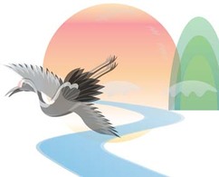 Animals - Bird Vector 8 