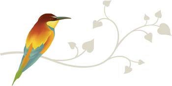 Animals - Bird Vector 9 