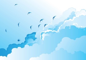 Birds in the Sky