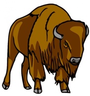 Animals - Bison clip art 