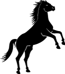 Black Horse On Two Legs Vector 2 