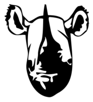Animals - Black Rhino head 