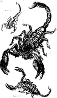 Black Scorpions clip art Preview