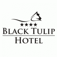 Hotels - Black Tulip Hotel Dej 