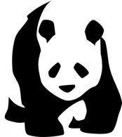 Animals - Black White Bear Panda Giant 