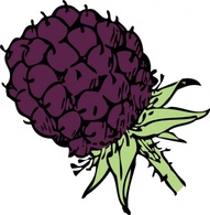 Blackberry clip art