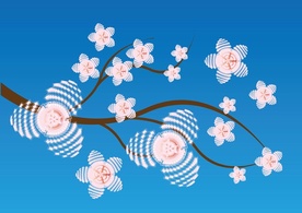 Blossom Vector