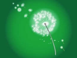 Nature - Blowing Dandelion 