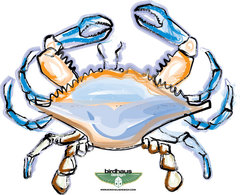 Nature - Blue Crab 