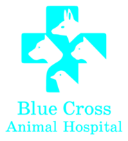 Blue Cross Animal Hospital 