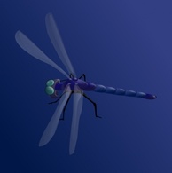 Animals - Blue Dragonfly clip art 