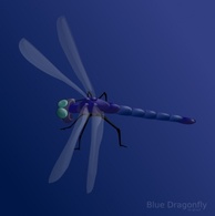 Blue Dragonfly clip art 