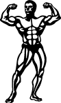 Bodybuilder Vector Image 