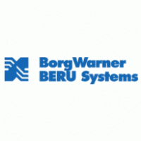 BorgWarner BERU systems Preview