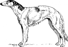 Borzoi clip art Preview