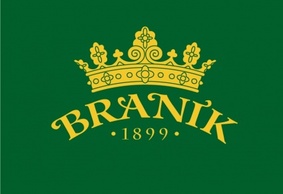 Branik logo Preview