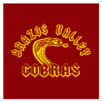 Brazos Valley Cobras