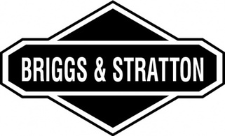 Briggs&Stratton logo Preview