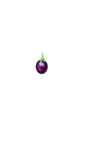 Food - Brinjal 