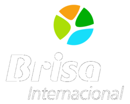 Brisa Internacional