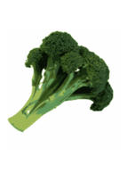 Broccoli