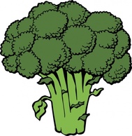 Broccoli clip art Preview