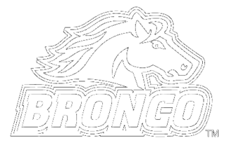 Bronco Preview