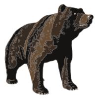 Animals - Brown bear 