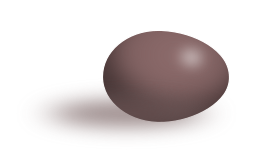 Brown egg