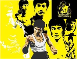 Bruce lee Preview