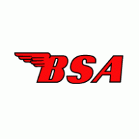 BSA Preview