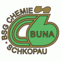 Football - BSG Chemie Schkopau 