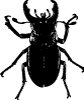 Bug Free Vector