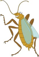 Animals - Bug Vector 3 