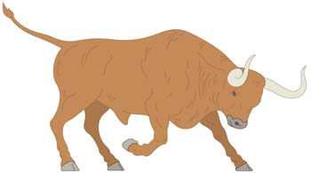 Bull Vector 1