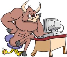 Bull Vector 12