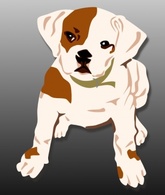 Bulldog Puppy clip art 