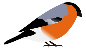 Bullfinch Preview