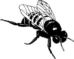 Animals - Bumble Bee clip art 