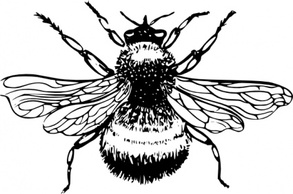 Animals - Bumblebee clip art 