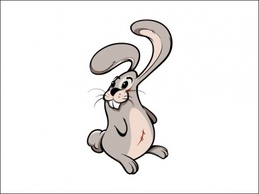 Cartoon - Bunny 