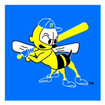 Burlington Bees 