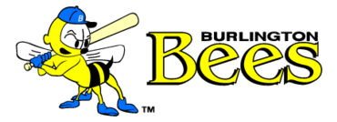 Burlington Bees