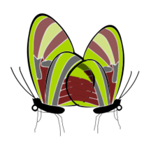 Butterflies Preview