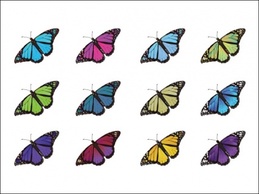 Butterflies