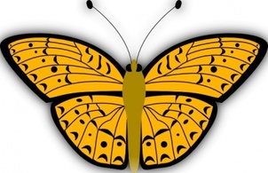 Butterfly clip art