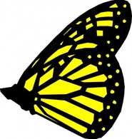 Animals - Butterfly clip art 