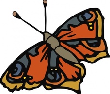 Animals - Butterfly clip art 