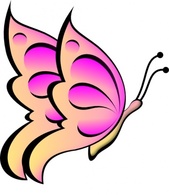 Butterfly clip art