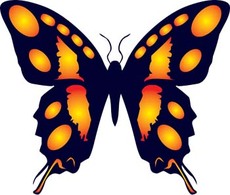 Animals - Butterfly Vector 14 